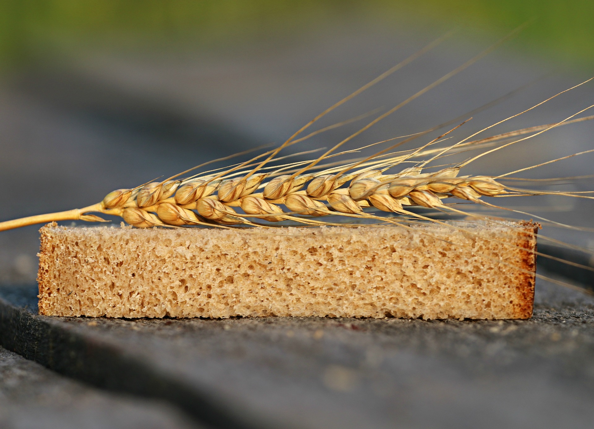 Zaproszenie na szkolenie dla rolników: Nowoczesne technologie uprawy zbóż chlebowych z uwzględnieniem integrowanej ochrony roślin